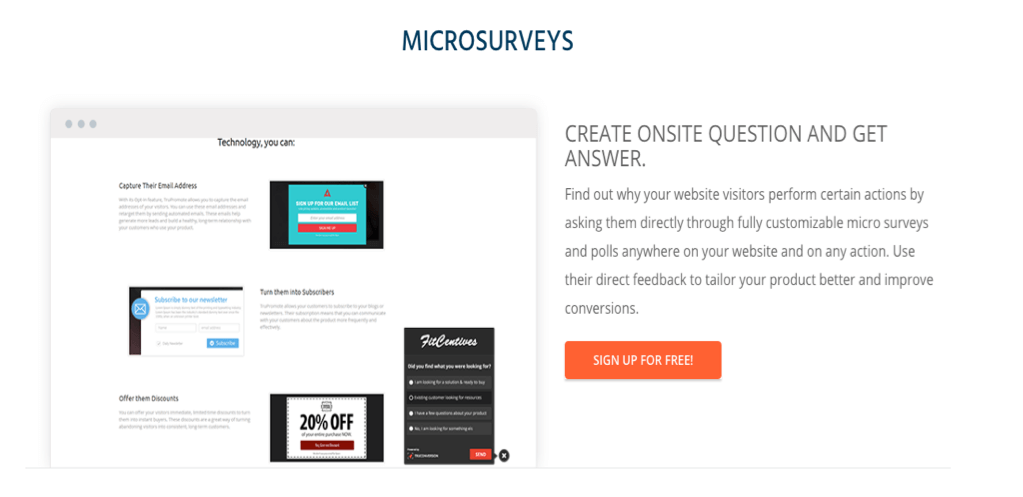 Micro Survey / Exit Survey