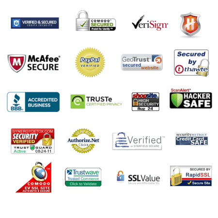Security and trust badges to build a great landing page (1)