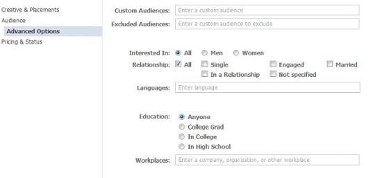 custom Facebook audience for high facebook conversion 12